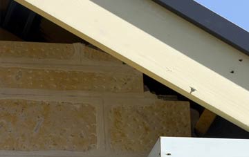 soffit repair Windy Hill